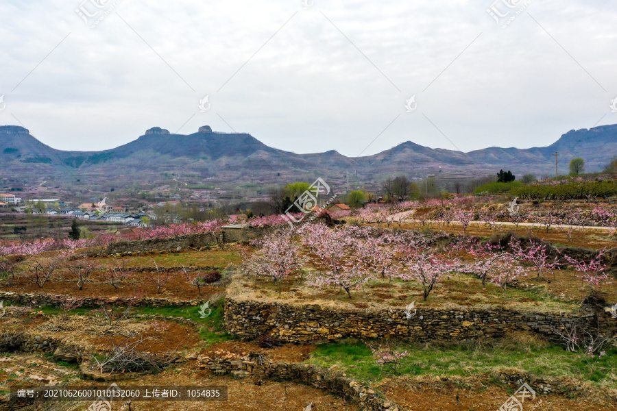 山东岱崮