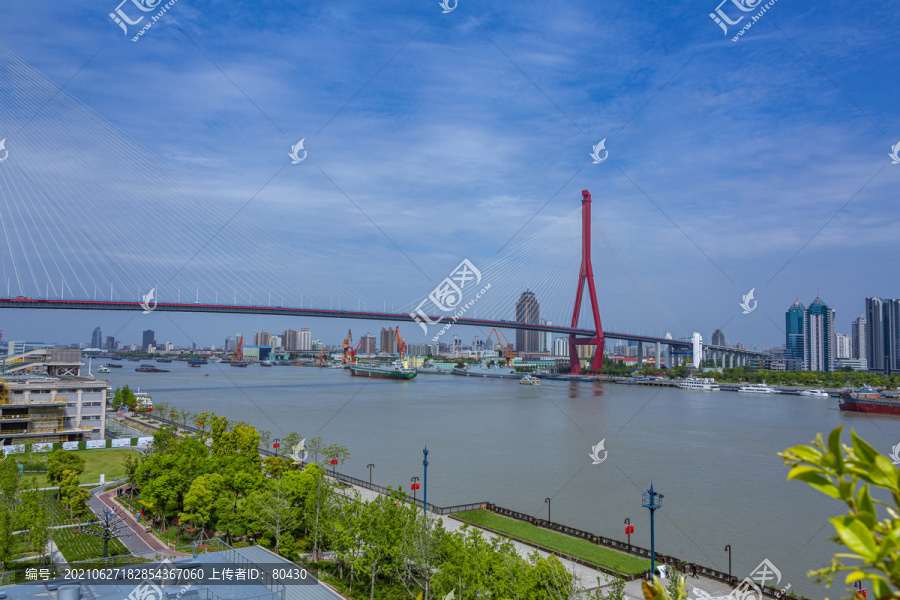 杨浦大桥