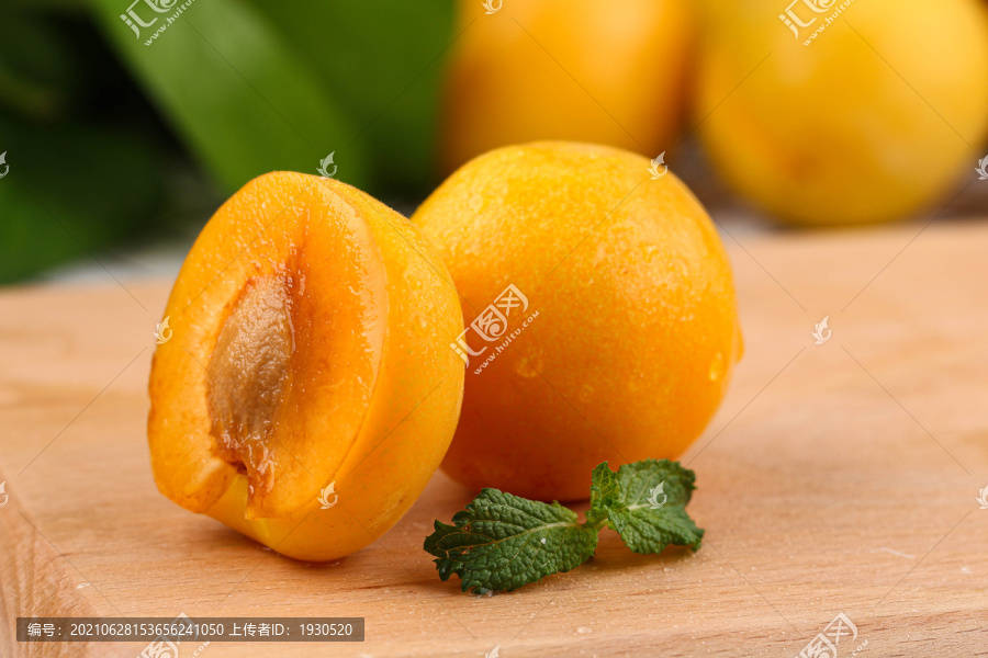 陕西大黄杏