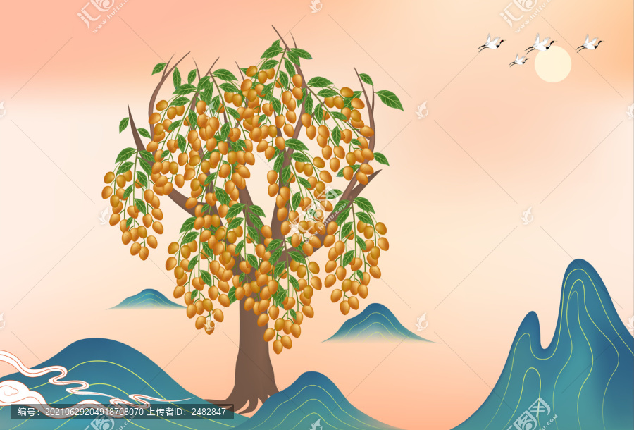 黄皮果树插画