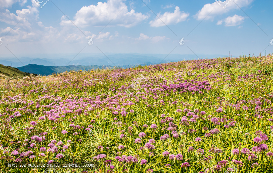 贵州毕节阿西里西韭菜坪旅游景区