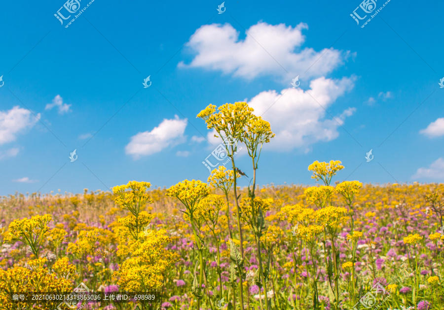 贵州毕节阿西里西韭菜坪旅游景区