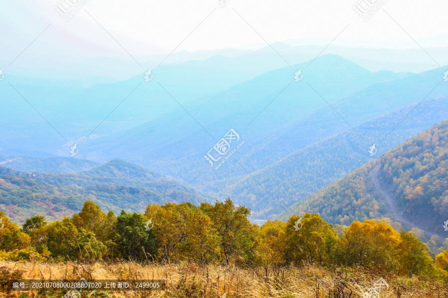 茅荆坝森林公园