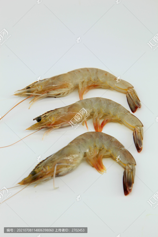 大虾