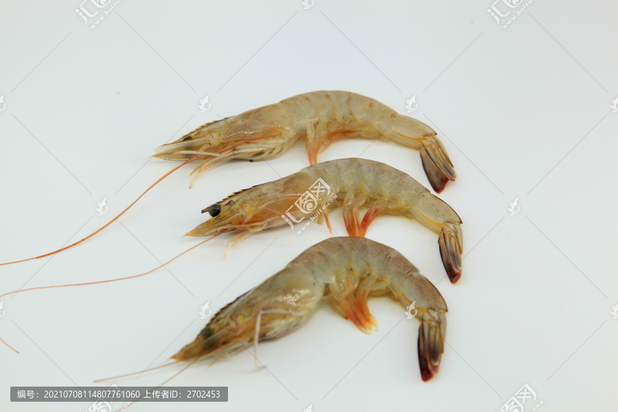 大虾