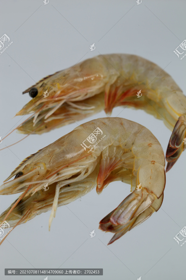 大虾