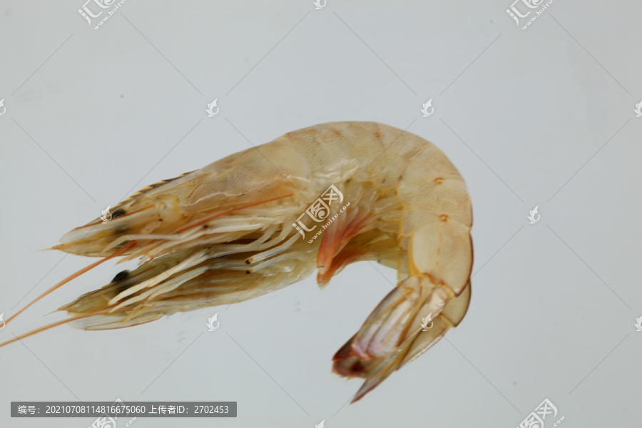 大虾