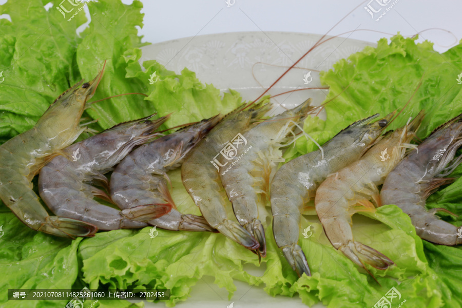 大虾