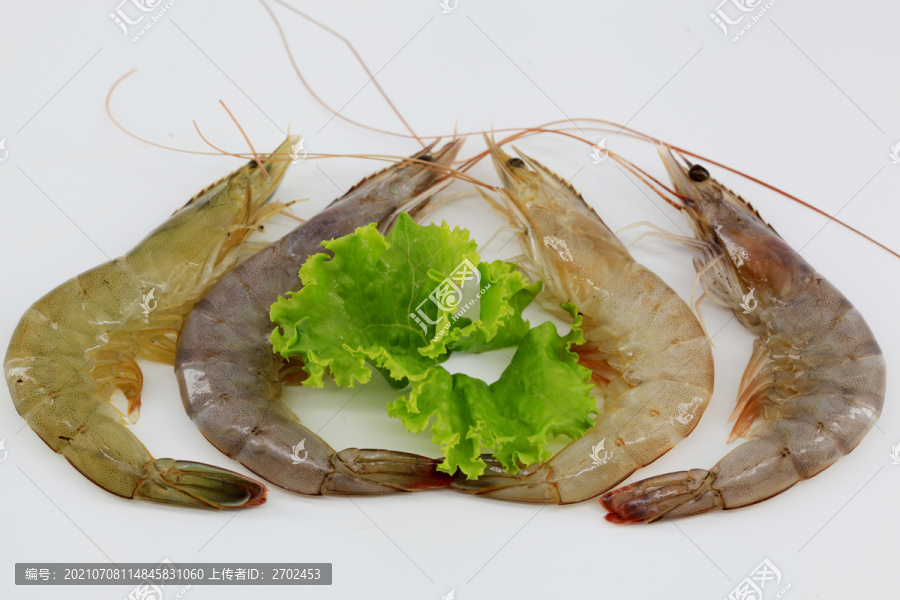大虾