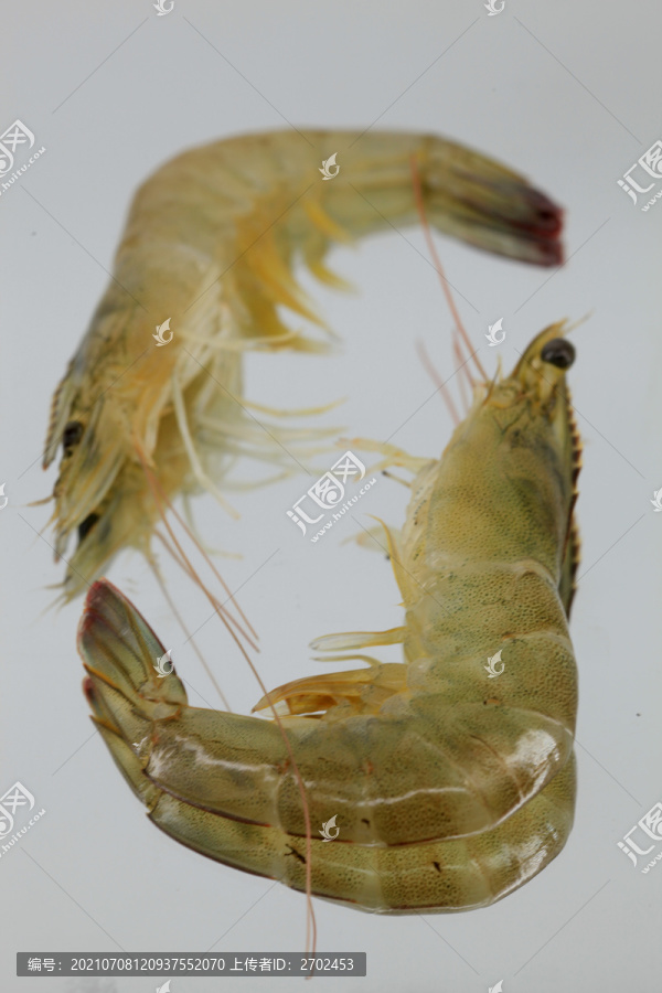 大虾