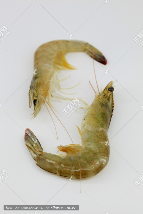 大虾