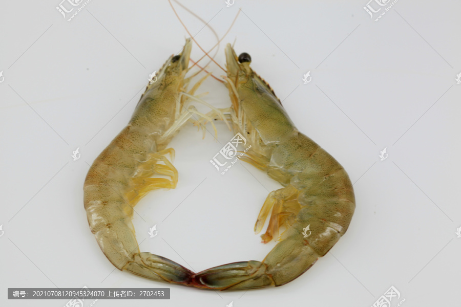 大虾