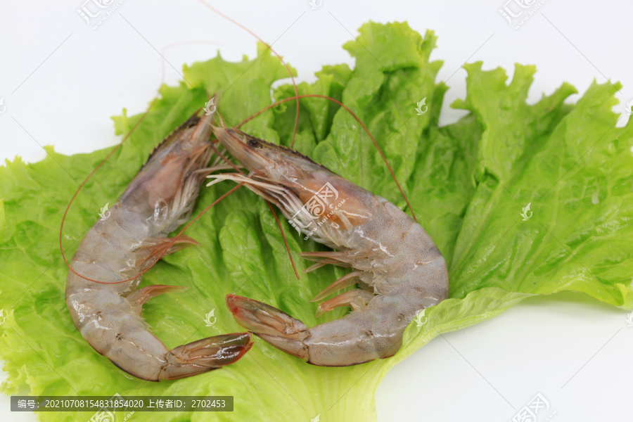 大虾