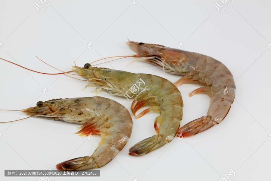 大虾