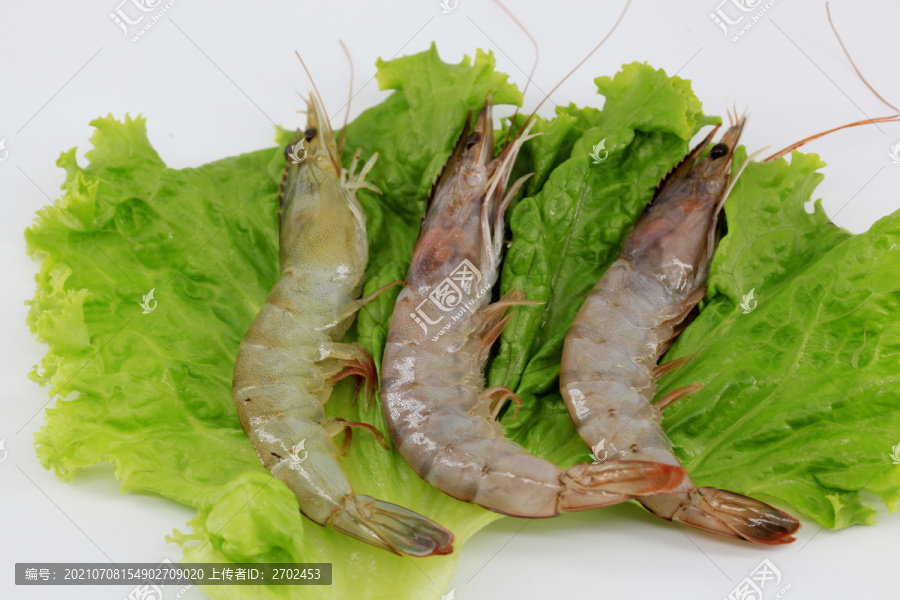 大虾