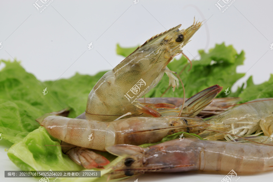 大虾