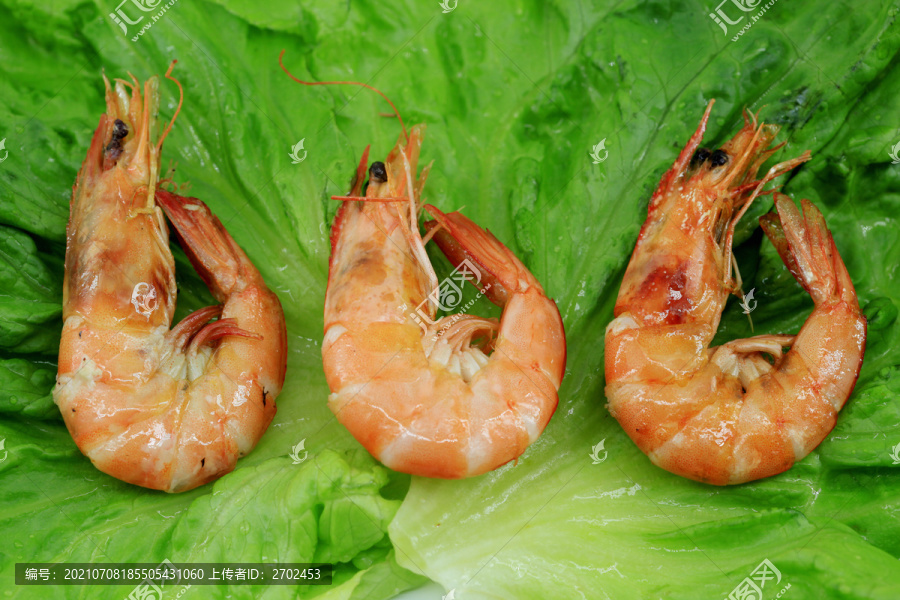 大虾