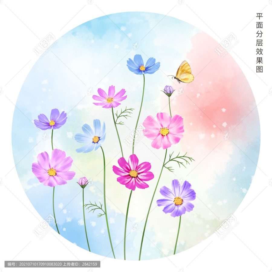 手绘格桑花