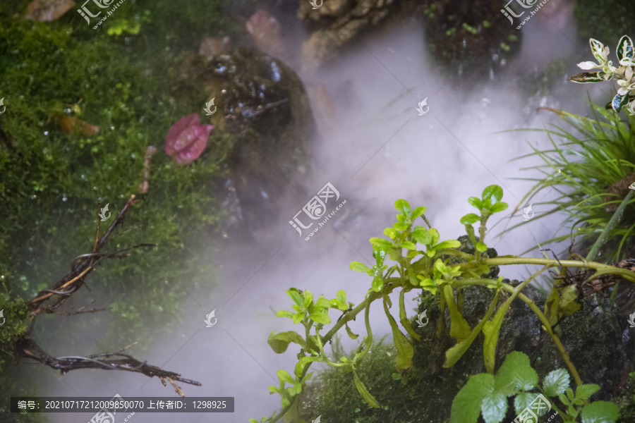 溪流绿岸水雾风景