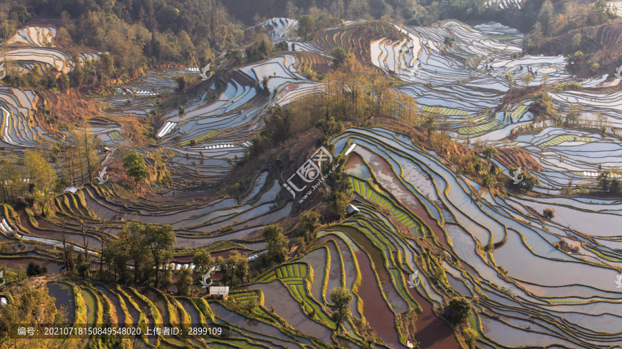 云南元阳梯田老虎嘴景点自然景观