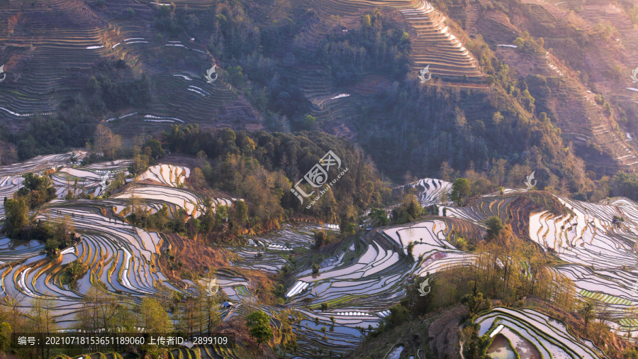 云南元阳梯田老虎嘴景点田园风光