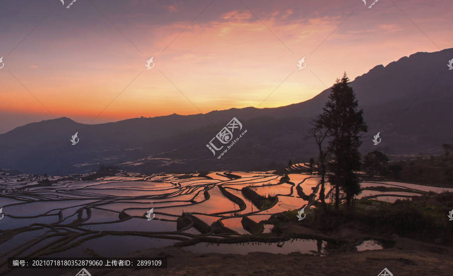 云南元阳梯田多依树景区自然景观