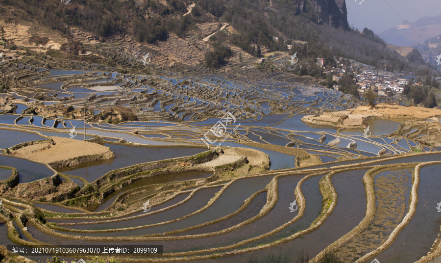 云南元阳梯田自然景观