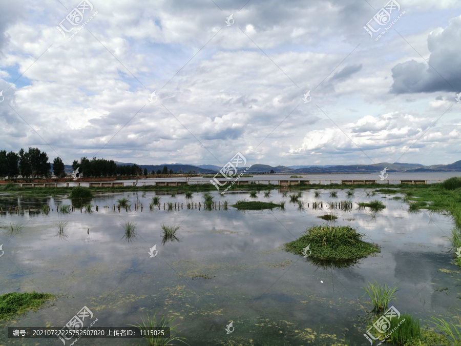 湿地景观