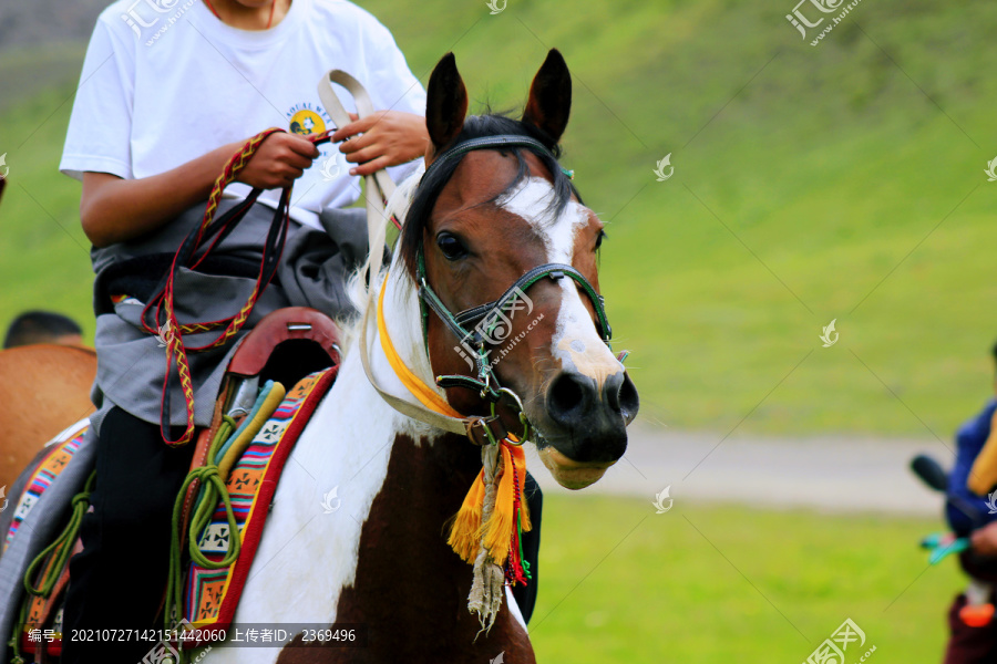 藏族骑手