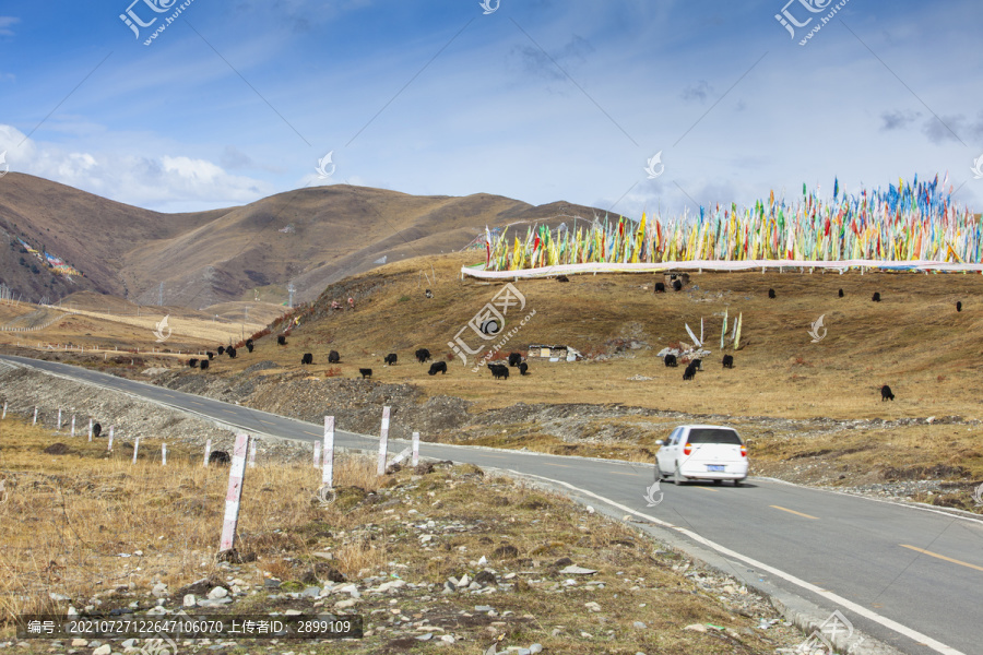 蓝天山脉道路牦牛经幡