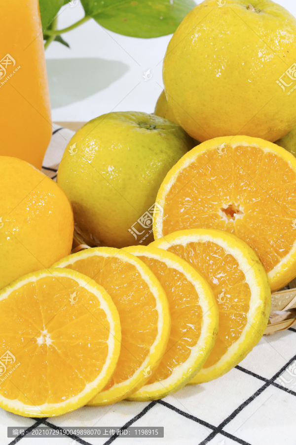 夏橙脐橙
