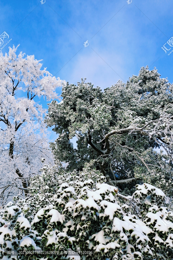 陕西汉中龙头山雪景