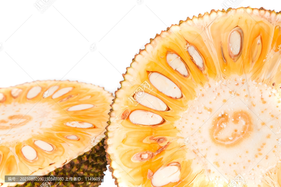 白底上的越南菠萝蜜