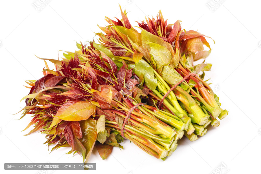 白底上摆放着香椿芽