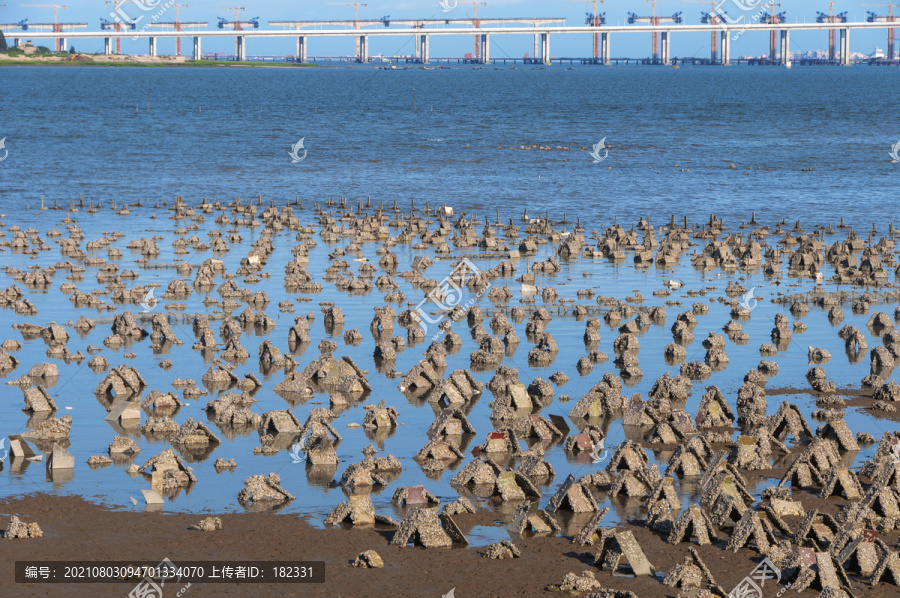 滩涂海滨地理风景