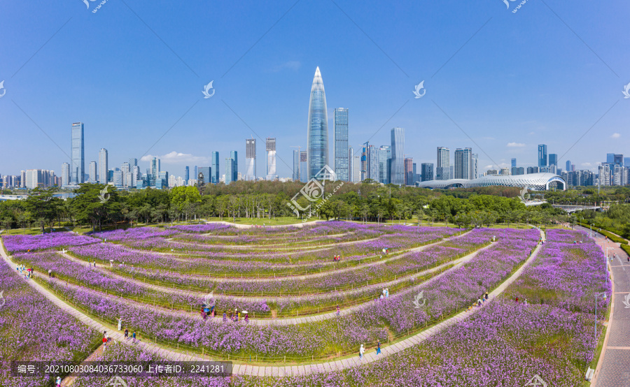 深圳市南山区深圳湾公园流花山