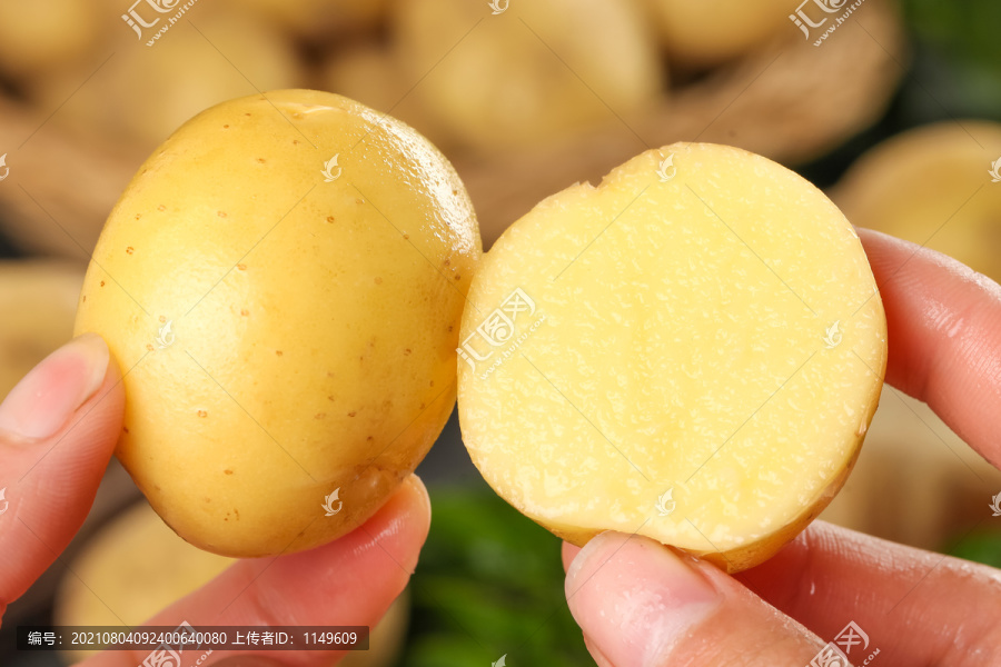 手里拿着小土豆