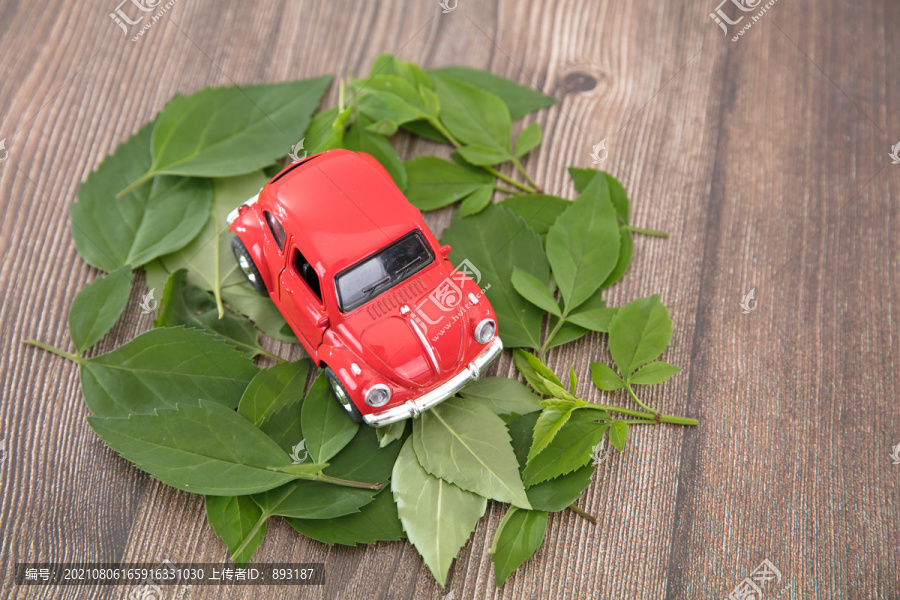 树叶上的小汽车模型