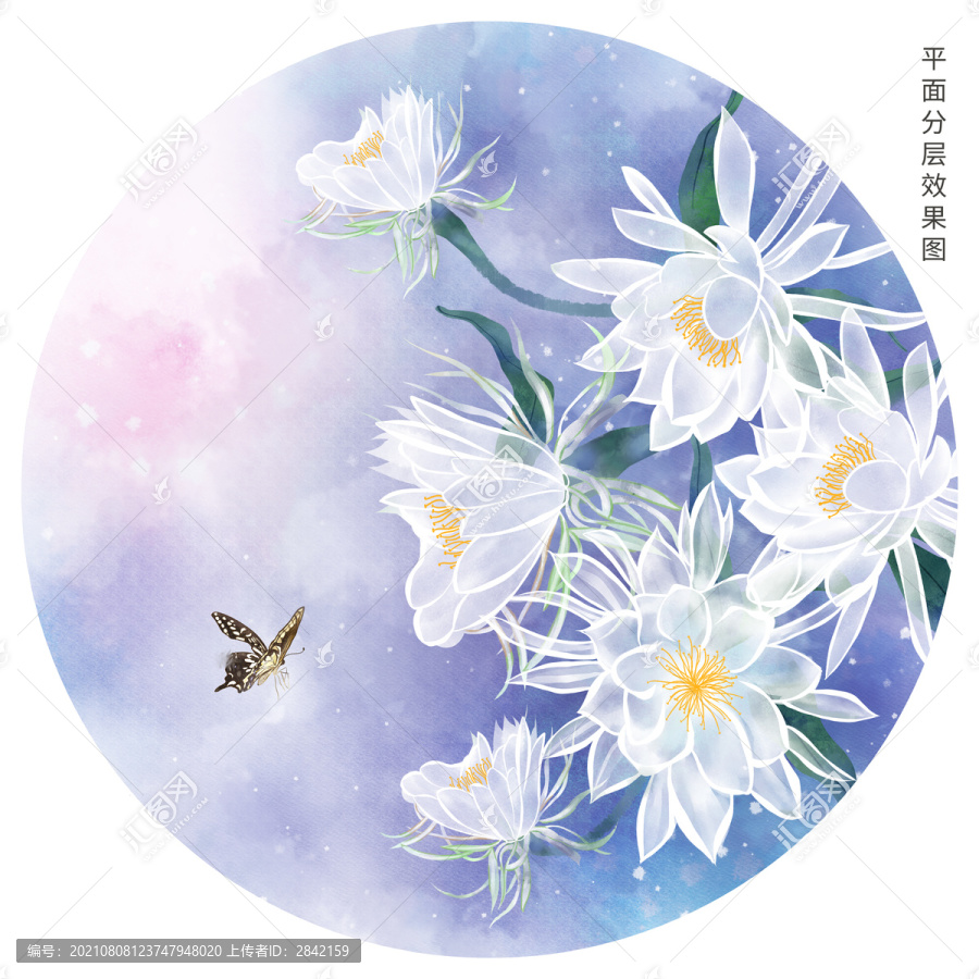 手绘古风昙花插画