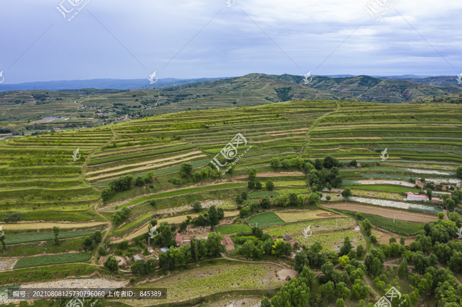 山坡梯田