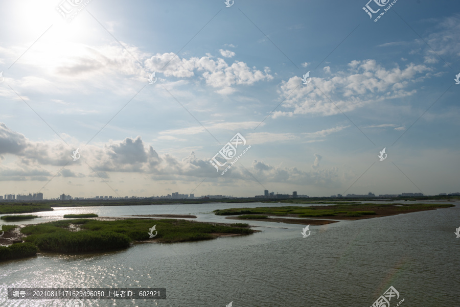 大沽河湿地