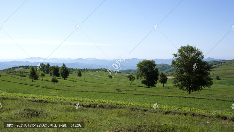 草原美景