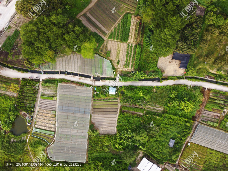 中国南方平原农田航拍