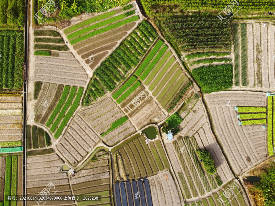中国南方平原绿色生态农田航拍