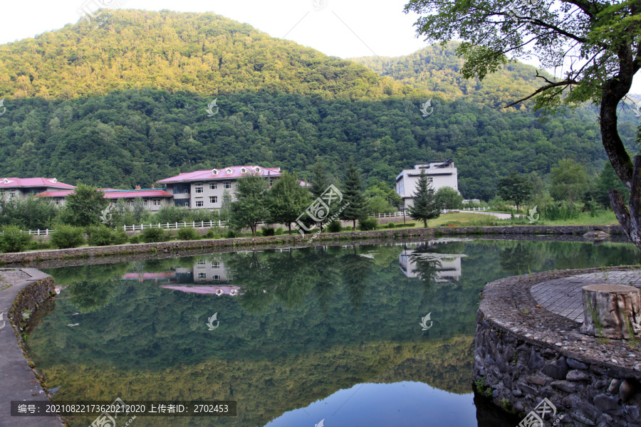 望天鹅景区风光