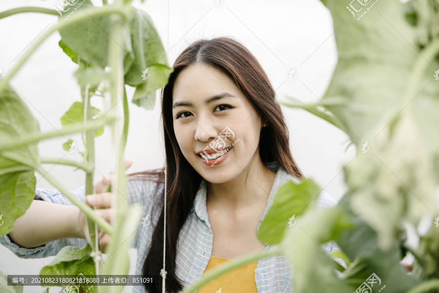 温室农场里快乐的亚洲女人的特写照片。