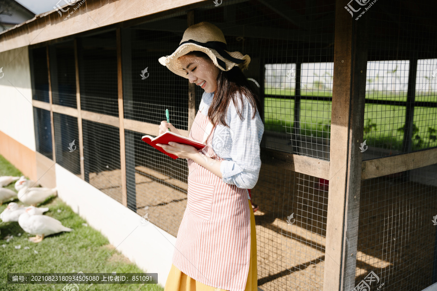 美丽的亚洲农妇在自家鸡舍农场检查动物健康。
