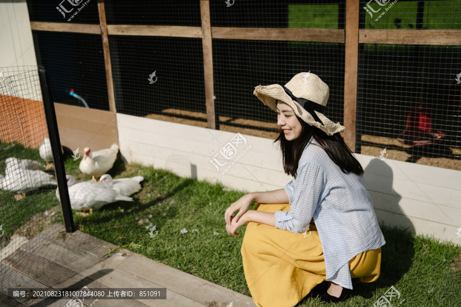 美丽的亚洲农妇戴着帽子看着户外的鸭子群。