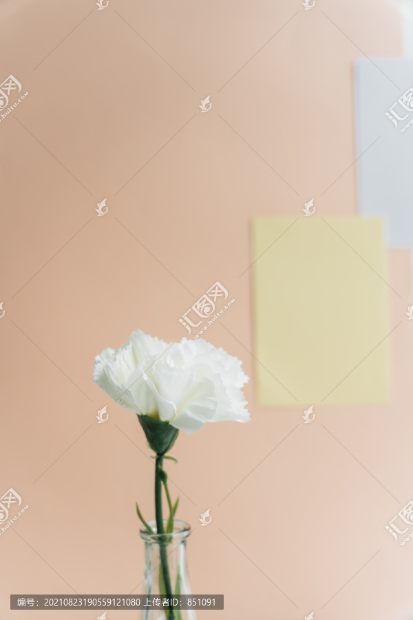 最小房间的玻璃花瓶中的白色花朵。垂直射击。