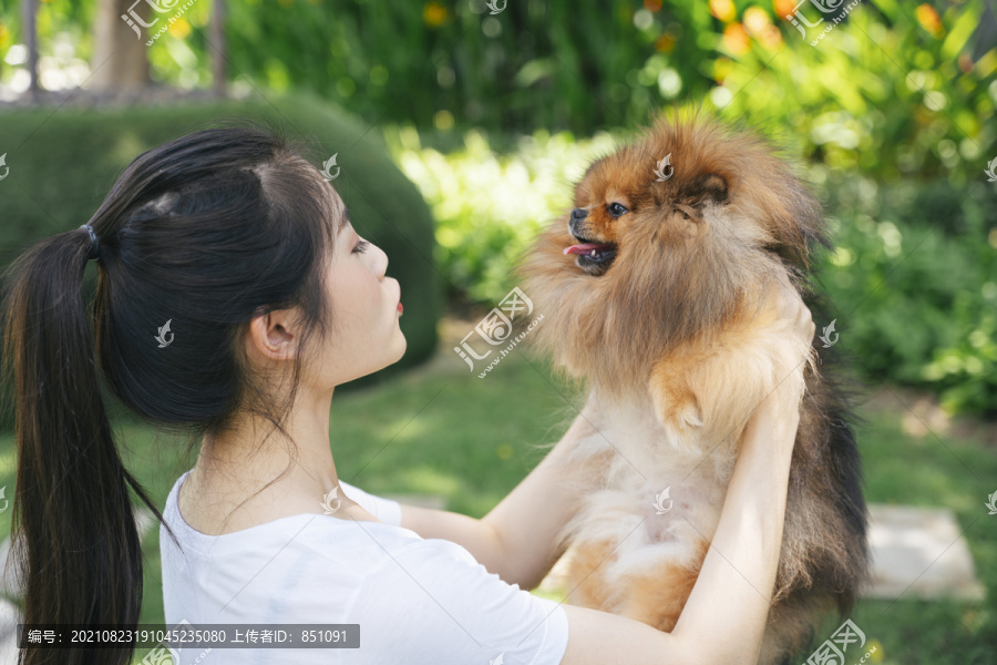 在公园里，主人双手牵着波美拉尼亚斯皮茨犬。